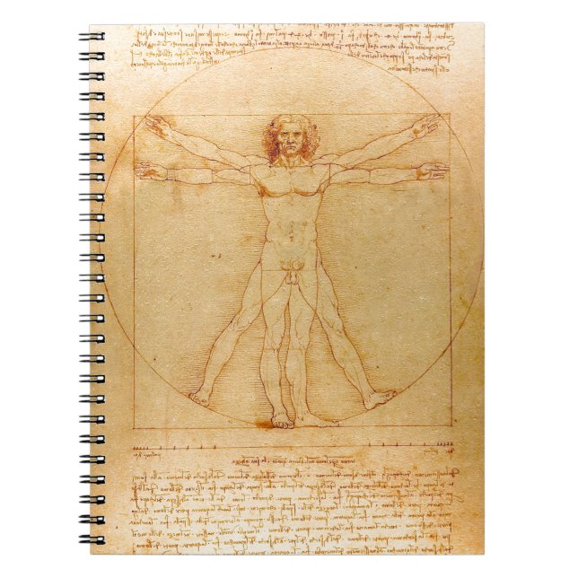 Människaanatomi, Vitruvian man av Leonardo Da Anteckningsbok (Framsidan)