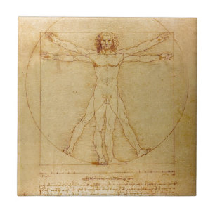 Människaanatomi, Vitruvian man av Leonardo Da Kakelplatta