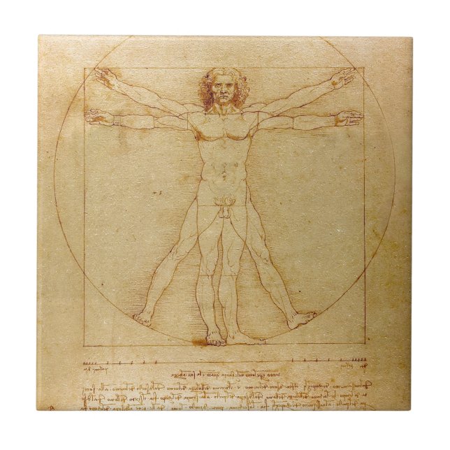 Människaanatomi, Vitruvian man av Leonardo Da Kakelplatta (Framsidan)