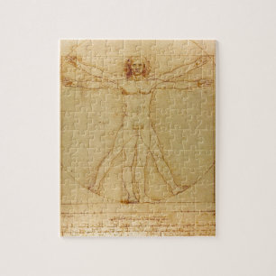 Människaanatomi, Vitruvian man av Leonardo Da Pussel