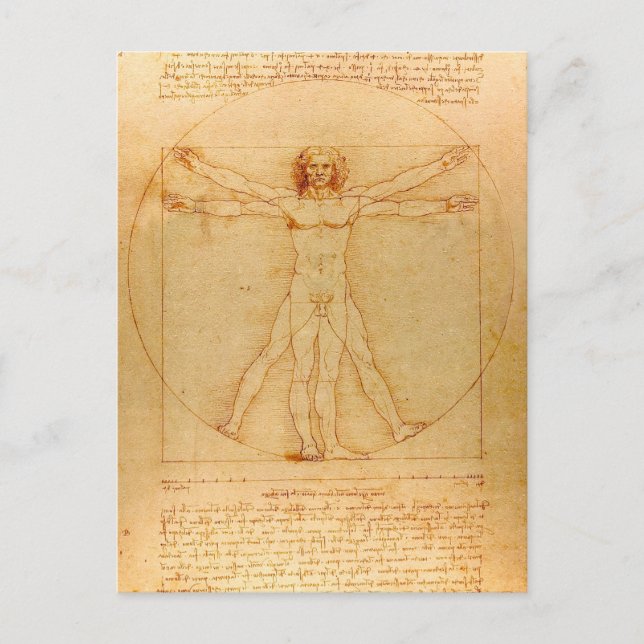 Människaanatomi, Vitruvian man av Leonardo Da Vykort (Framsida)