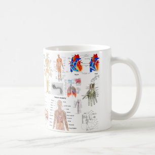 Människaanatomidiagram Kaffemugg
