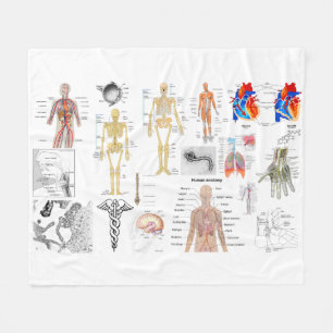 Människaanatomiläkarundersökningen Diagrams den Fleecefilt