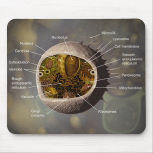 Människacellmousepad Musmatta
