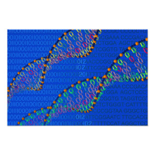 MänniskaDNA och syntetmaterialDNA-affisch Fototryck