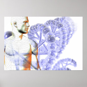 Människagenom Poster