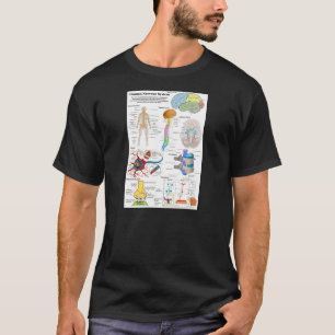 Människahjärna och centrala nervsystemetdiagram t-shirt