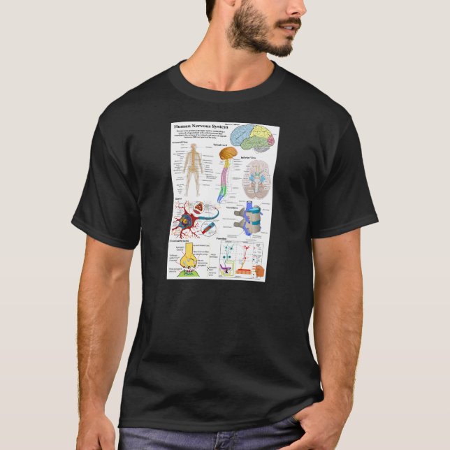 Människahjärna och centrala nervsystemetdiagram t-shirt (Framsida)