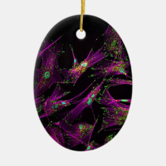 Människalungfibroblasts Julgransprydnad Keramik