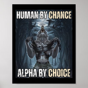 Människan efter förändring Alfa efter val Coola Fu Poster