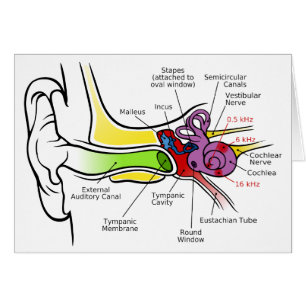 Människan gå i ax diagrammet med Cochlear Hälsningskort