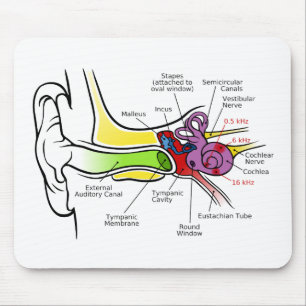 Människan gå i ax diagrammet med Cochlear Musmatta