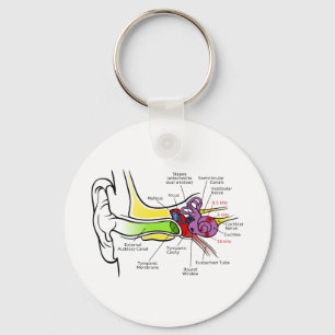 Människan gå i ax diagrammet med Cochlear Nyckelring