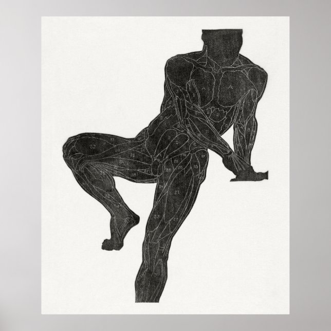 Människans anatomi 2 poster (Framsidan)