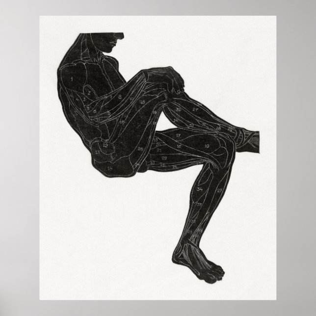 Människans anatomi 3 poster (Framsidan)