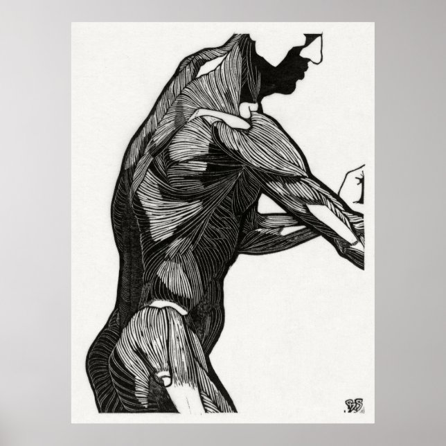 Människans anatomi 4 poster (Framsidan)