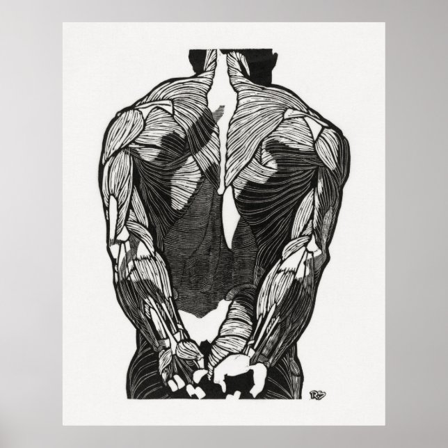 Människans anatomi 5 poster (Framsidan)