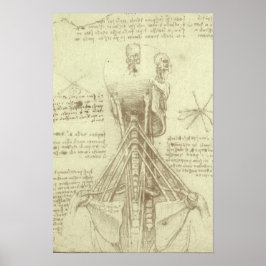 Människans anatomi Ryggraden av Leonardo da Vinci Poster