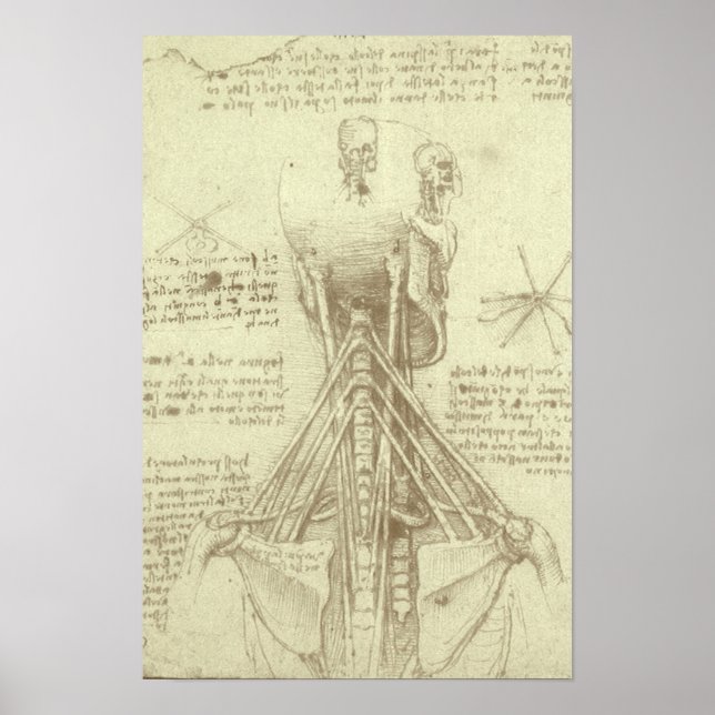 Människans anatomi Ryggraden av Leonardo da Vinci Poster (Framsidan)