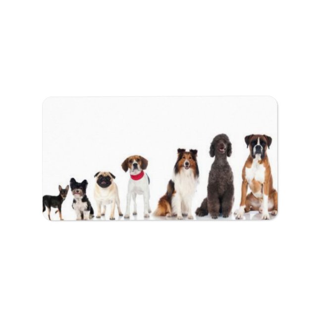 "Människans bästa vän." Adressetikett (Framsidan)