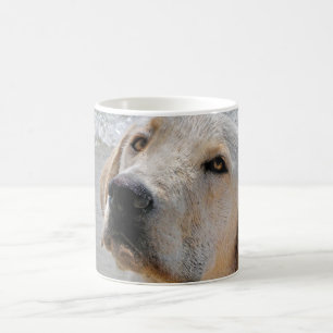 Människans bästa vän kaffemugg