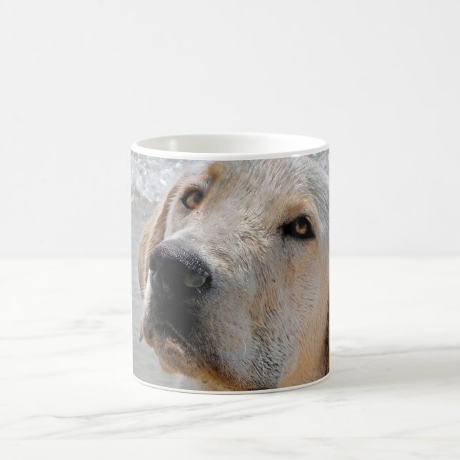 Människans bästa vän kaffemugg (Center)