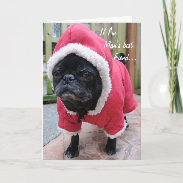 Människans bästa vänkort kort (Framsida)