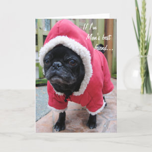 Människans bästa vänkort kort