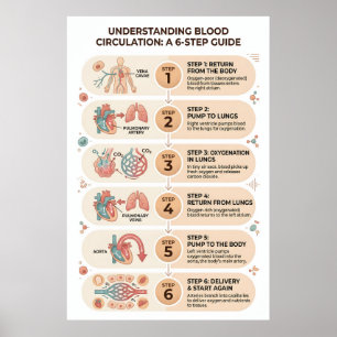 Människans blodcirkulation: En 6-stegs utbildning Poster