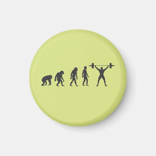 Människans evolution magnet