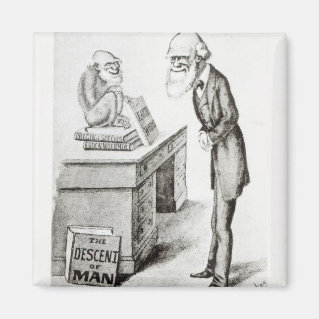 Människans härkomst magnet (Framsidan)