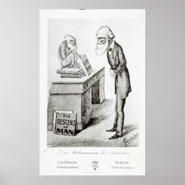 Människans härkomst poster (Framsidan)