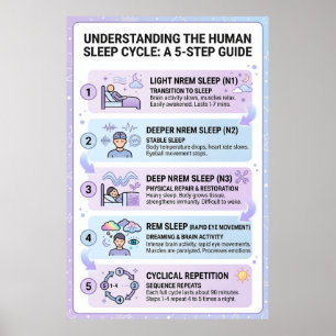 Människans sömncykel: En 5-stegs guide Infographic Poster