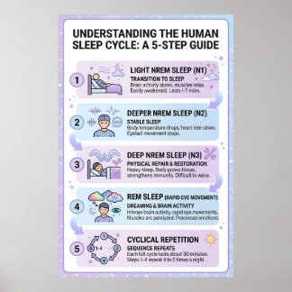 Människans sömncykel: En 5-stegs guide Infographic Poster