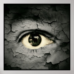 Människaögat serrounded, genom att skala, flår poster