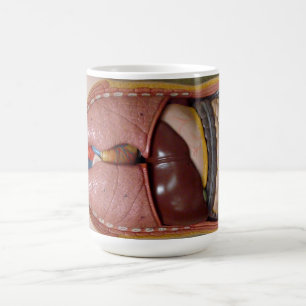 Människaorgan, bröstkorgen kaffemugg