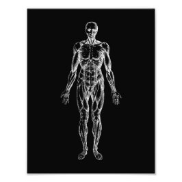 Människokropp, manlig anatomi, svart och vitt fototryck