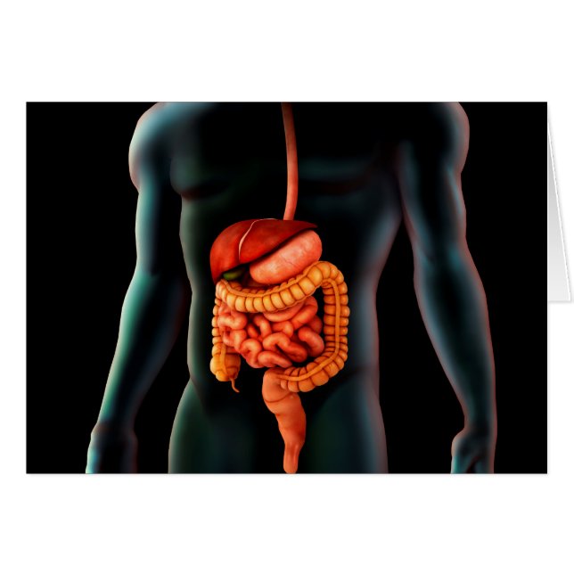Människokropp och matsmältningssystem hälsningskort (Framsidan Horizontal)