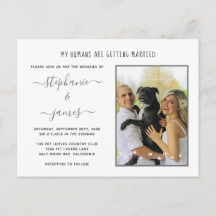 Människor Giftar Sig Silver Husdjur Foto Bröllop Inbjudan Vykort