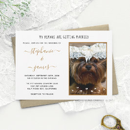 Människor som gifter sig Anpassad husdjursfoto Brö Inbjudningar