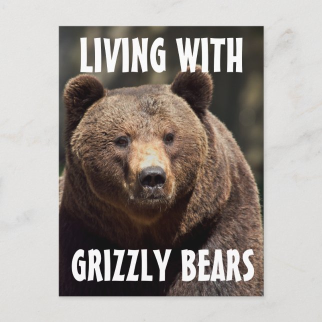 MÄNNISKOR SOM LEVER MED BEARS POSTCARDS VYKORT (Framsida)