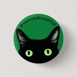 Manny Halloween Cat Knapp