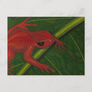 Manny The Mantella (Frog) Vykort