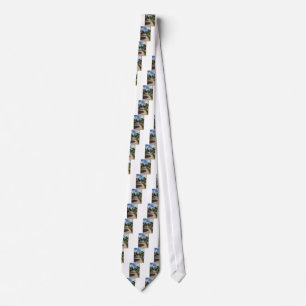 Mano Juan by i Saona Dominikanska republiken Slips