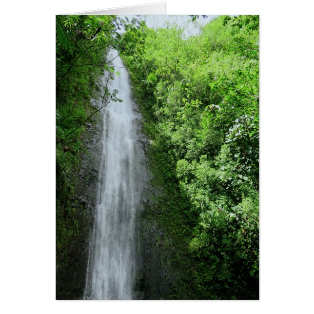 Manoa Falls Hälsningskort (Framsidan)