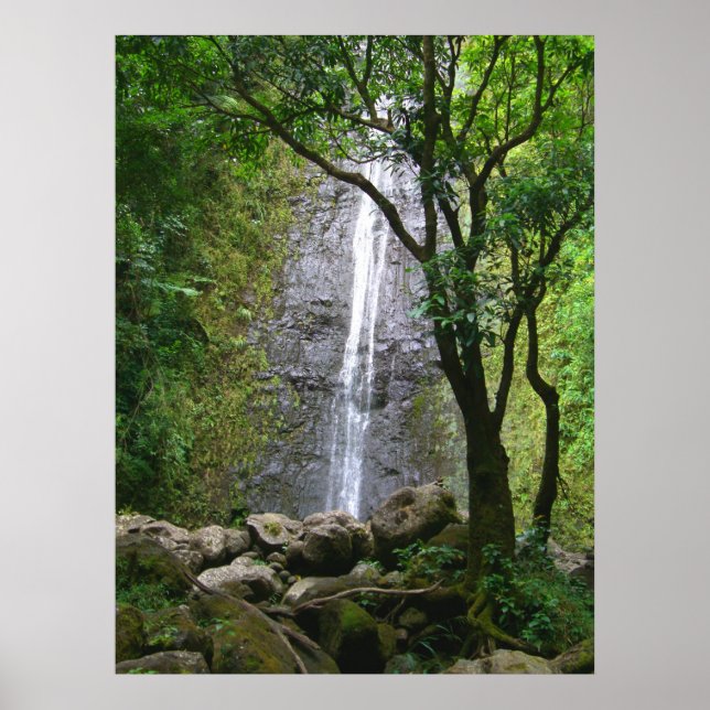 Manoa Falls, O'ahu, Hawai'i Poster (Framsidan)