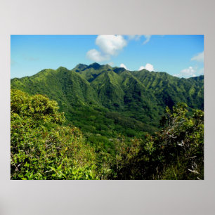Manoa Valley Morgon Poster