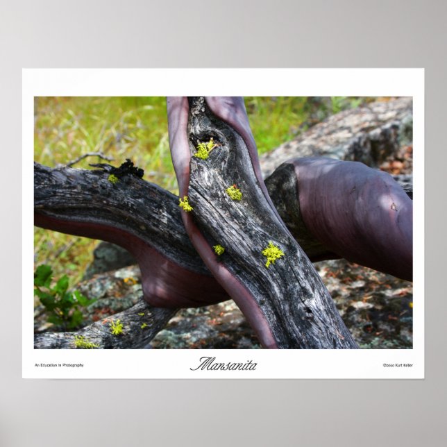 Mansanita Prints Poster (Framsidan)