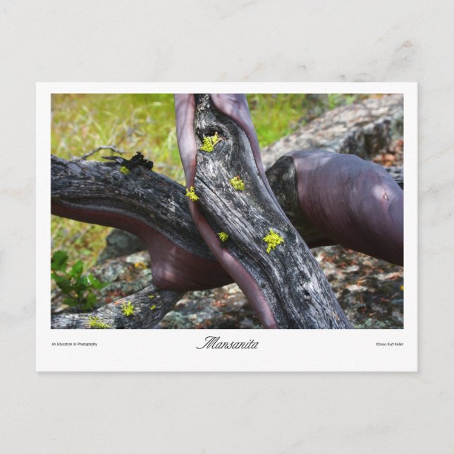 Mansanita Prints Vykort (Framsida)