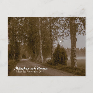Månsken och dimma CC0545 Sideby Postcard Vykort
